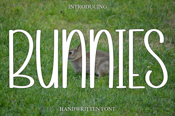 Discover the Charm of Bunnies Font